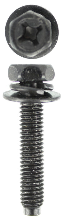 Sems - M6 X 30mm Sems Black Combination Head 2 Washer