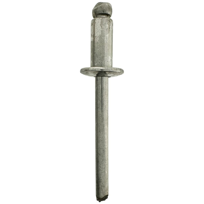 Truss Head Rivet #6-3 - 316 grade Stainless Steel