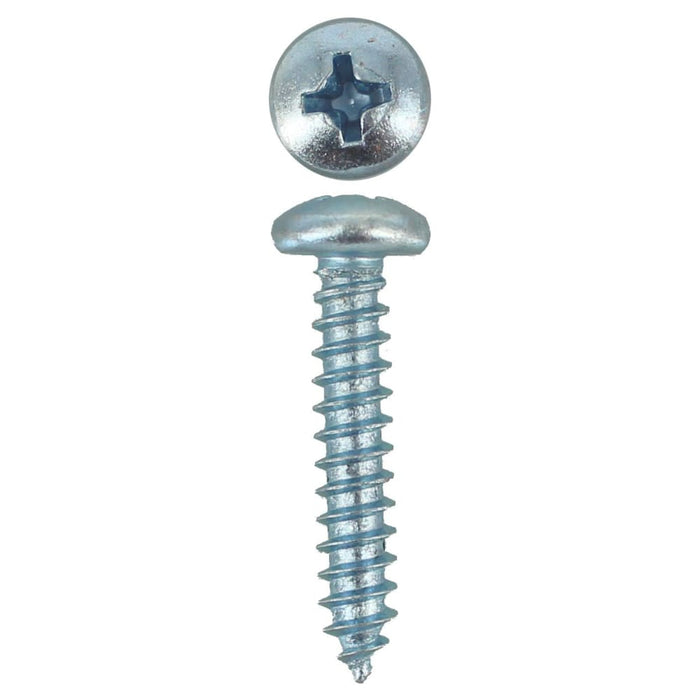 10g X 1 Pan Phillips Self Tapper